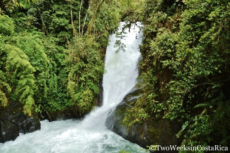 Waterfall at Cloudbridge Nature Reserve | Two Weeks in Costa Rica