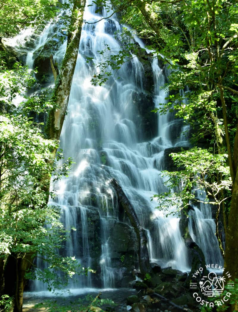 tall waterfall with thick trees surrounding it