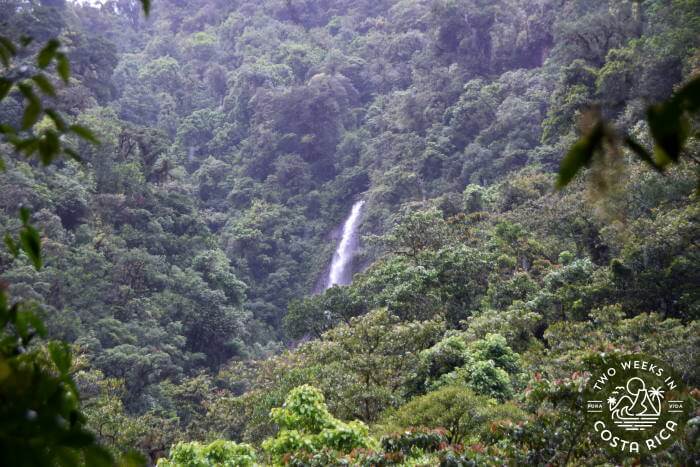 distant waterfall view from the trail 