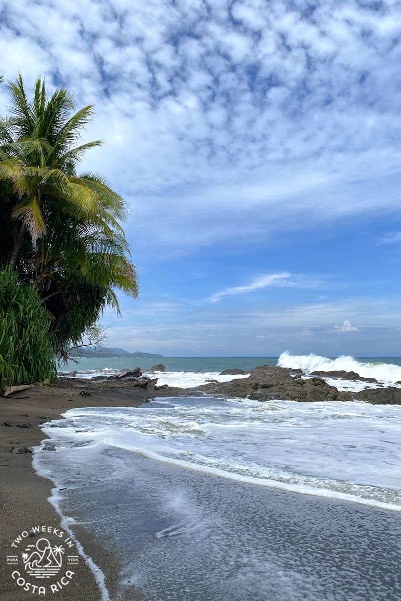 waves crashing on rocks along the shore