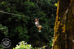 Canopy Safari Zip Lining