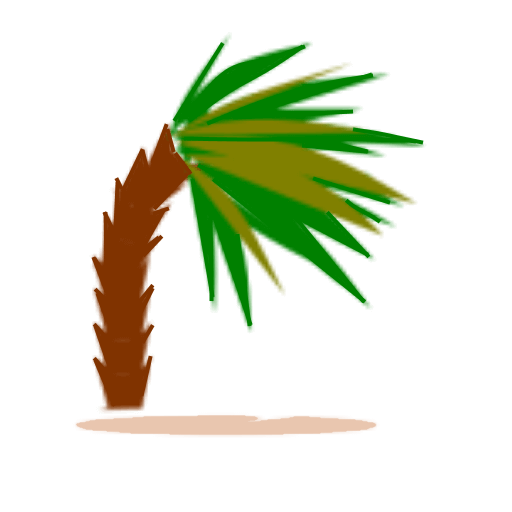 Two Weeks in Costa Rica